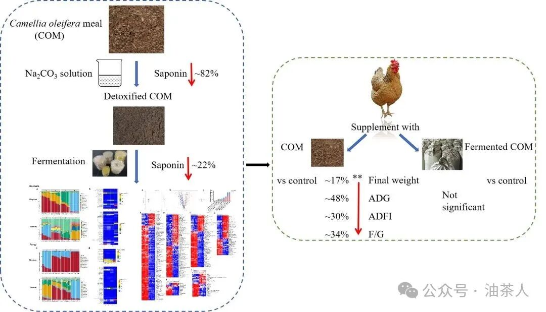 动科所在油茶粕饲料化方面取得新进展 